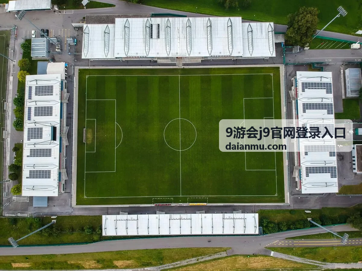 9游会j9官网登录入口平台的入口指南分类示意图